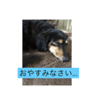 プルートスタンプ（個別スタンプ：4）
