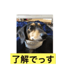 プルートスタンプ（個別スタンプ：7）