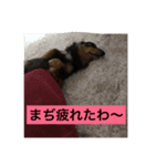 プルートスタンプ（個別スタンプ：8）