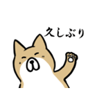 サラリーマン犬スタンプ（個別スタンプ：5）