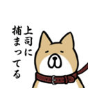 サラリーマン犬スタンプ（個別スタンプ：7）