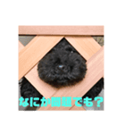 モフモフのROY（個別スタンプ：2）