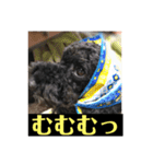 モフモフのROY（個別スタンプ：5）
