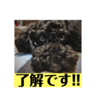 モフモフのROY（個別スタンプ：7）