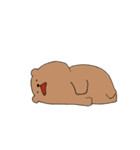 のっぺりしたクマ（個別スタンプ：14）