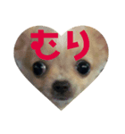 ジロジロテテくん（個別スタンプ：1）