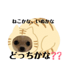 ジロジロテテくん（個別スタンプ：5）