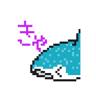 じんべえとぺん。ジンベエザメとペンギン。（個別スタンプ：14）