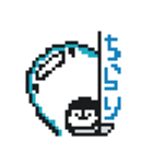 じんべえとぺん。ジンベエザメとペンギン。（個別スタンプ：15）
