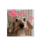 気まぐれアポー（個別スタンプ：4）