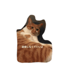 うちのさぼとまろんとちくわ（個別スタンプ：5）