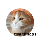 うちのさぼとまろんとちくわ（個別スタンプ：9）