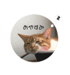 うちのさぼとまろんとちくわ（個別スタンプ：10）