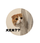うちのさぼとまろんとちくわ（個別スタンプ：20）