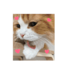 うちのさぼとまろんとちくわ（個別スタンプ：23）
