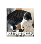 はなさまスタンプ（個別スタンプ：6）