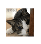 はなさまスタンプ（個別スタンプ：8）