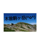 山好き(*゜▽゜)_（個別スタンプ：6）