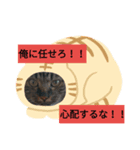 ネコシリーズ（個別スタンプ：3）