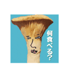 プーすけのすたんプー（個別スタンプ：9）