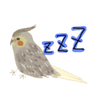 きじーず（個別スタンプ：4）