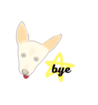 きじーず（個別スタンプ：12）