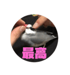 鈴木家のブンさん（個別スタンプ：2）