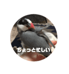 鈴木家のブンさん（個別スタンプ：9）