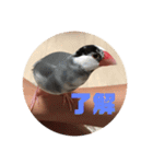 鈴木家のブンさん（個別スタンプ：10）