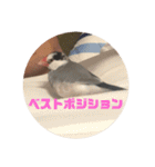 鈴木家のブンさん（個別スタンプ：21）