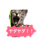 こゆきとちくわ（個別スタンプ：7）