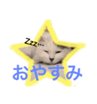 こゆきとちくわ（個別スタンプ：14）