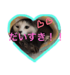 こゆきとちくわ（個別スタンプ：21）