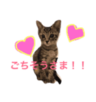 こゆきとちくわ（個別スタンプ：24）