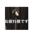 こゆきとちくわ（個別スタンプ：25）