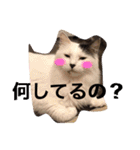 こゆきとちくわ（個別スタンプ：27）