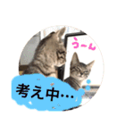 こゆきとちくわ（個別スタンプ：32）