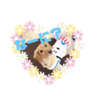 ここちゃんすたんぷぅ（個別スタンプ：2）