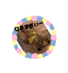ここちゃんすたんぷぅ（個別スタンプ：8）