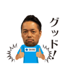 シーレのビジネススタンプ2（個別スタンプ：24）