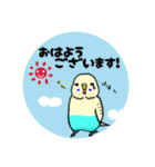 セキセイたちで日常会話（個別スタンプ：1）