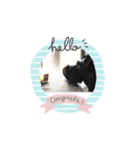 クレサラスタンプ（個別スタンプ：1）