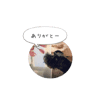 クレサラスタンプ（個別スタンプ：2）