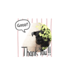 クレサラスタンプ（個別スタンプ：4）