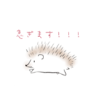はりねずみちゃん（個別スタンプ：7）