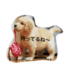 ふみちゃんvol.1（個別スタンプ：1）