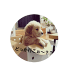 ふみちゃんvol.1（個別スタンプ：2）