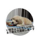 ふみちゃんvol.1（個別スタンプ：6）