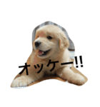 ふみちゃんvol.1（個別スタンプ：7）