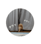 ふみちゃんvol.1（個別スタンプ：8）